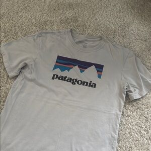 Patagonia Light Gray T-Shirt with Mountain Graphic